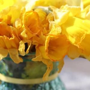 Meet your Posher, Marie